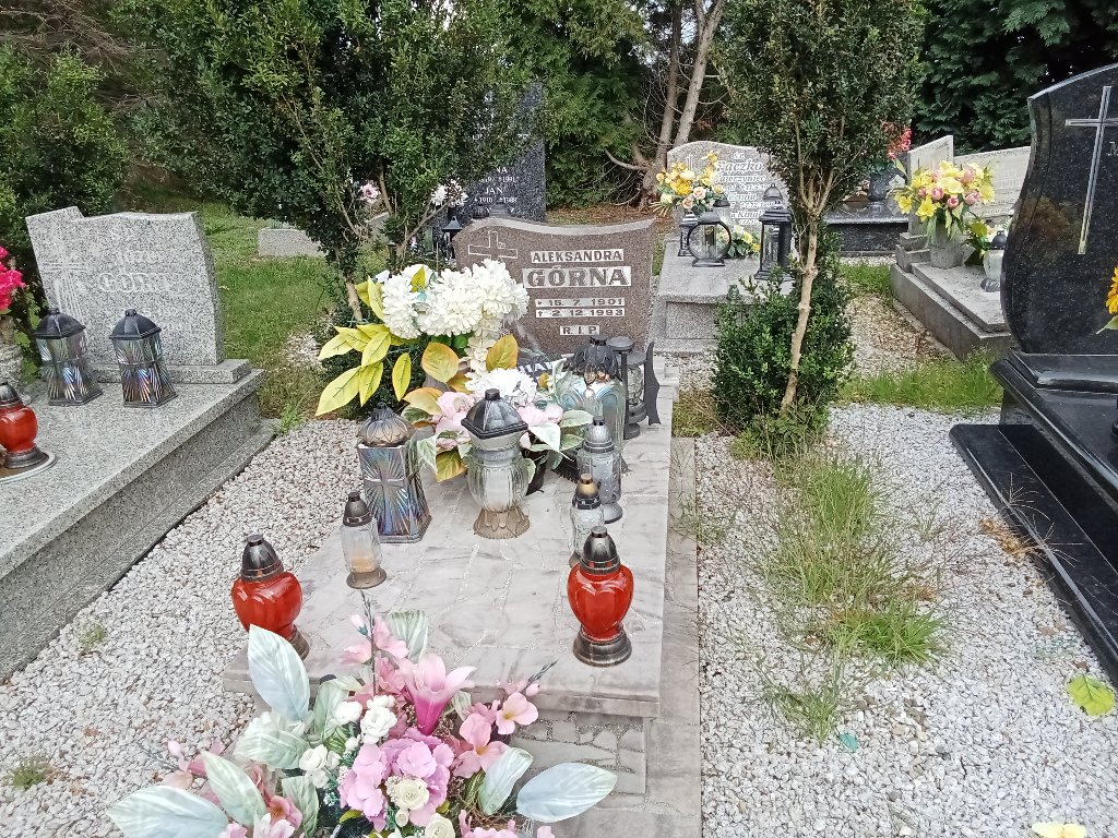 Grób Michał Górny